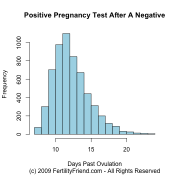 First Positive Pregnancy Test