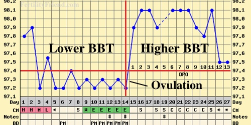 Ovulation Temp Chart