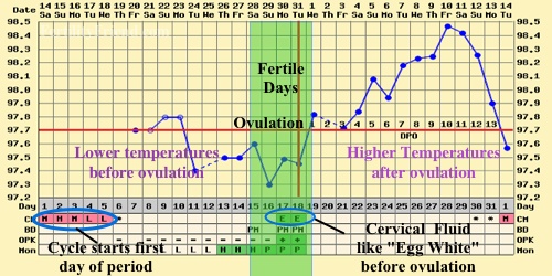 Fertility Temperature Tracking Chart