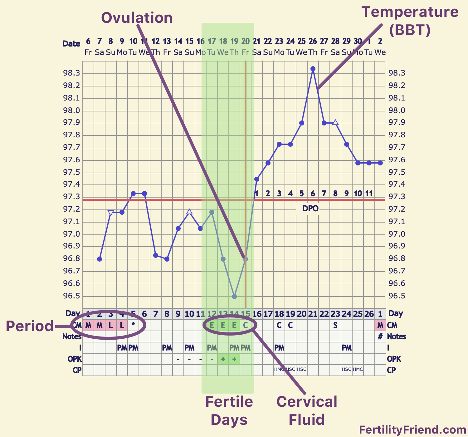 Fertility Chart When