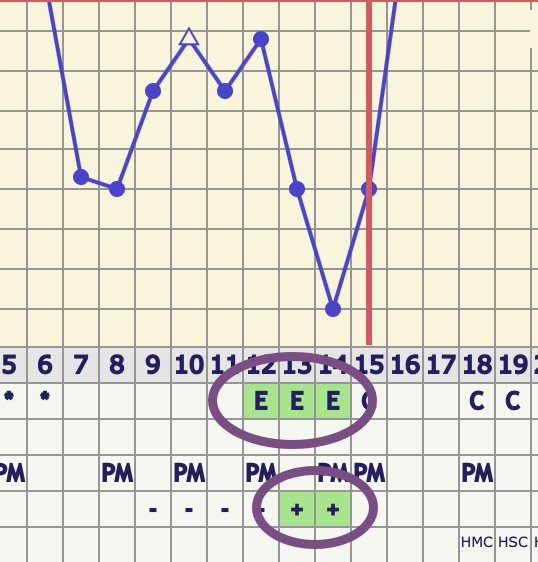 chart_fertile_signs