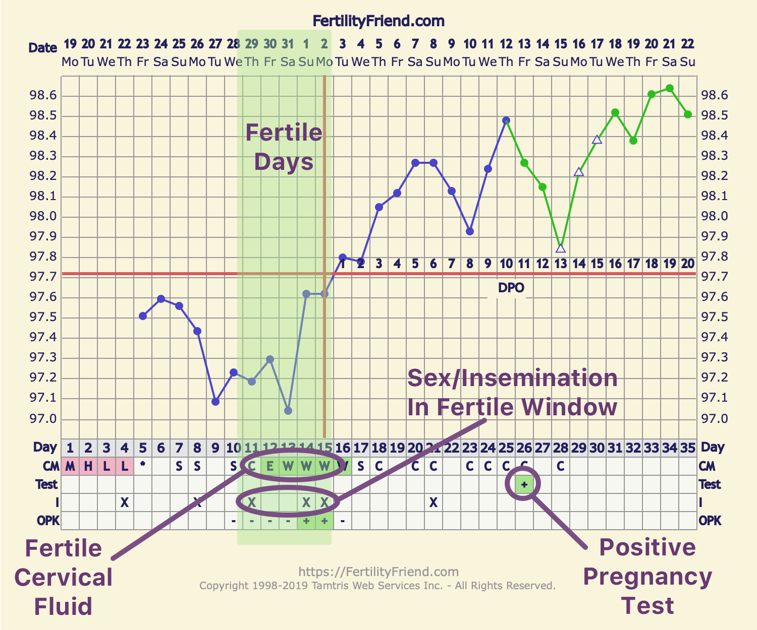 Fertility Chart When