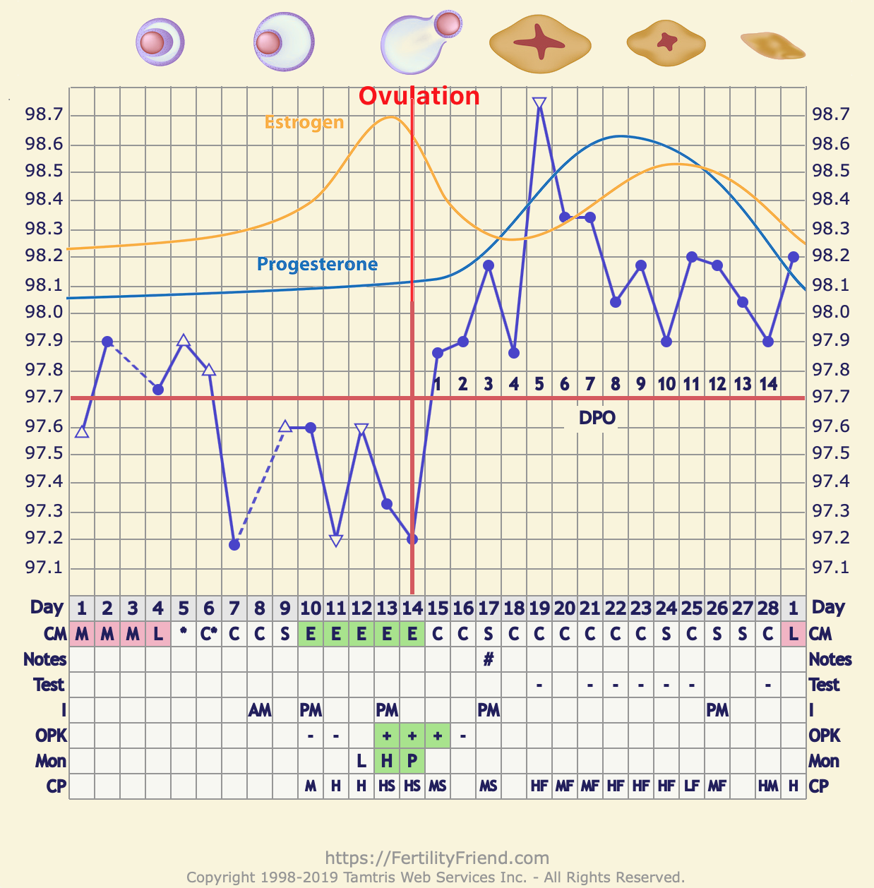 Low Estrogen Bbt Chart