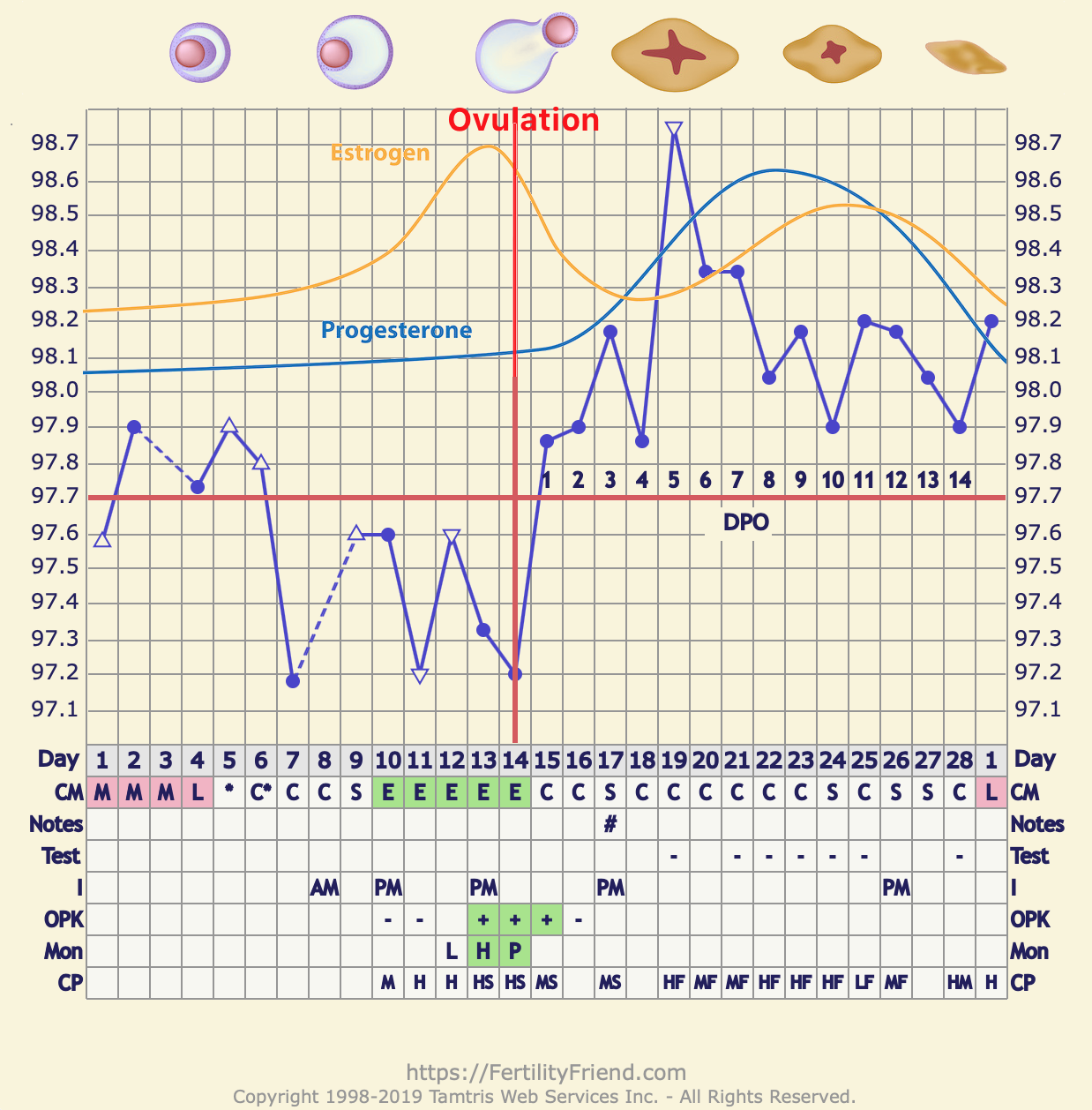 Cervix Position Chart