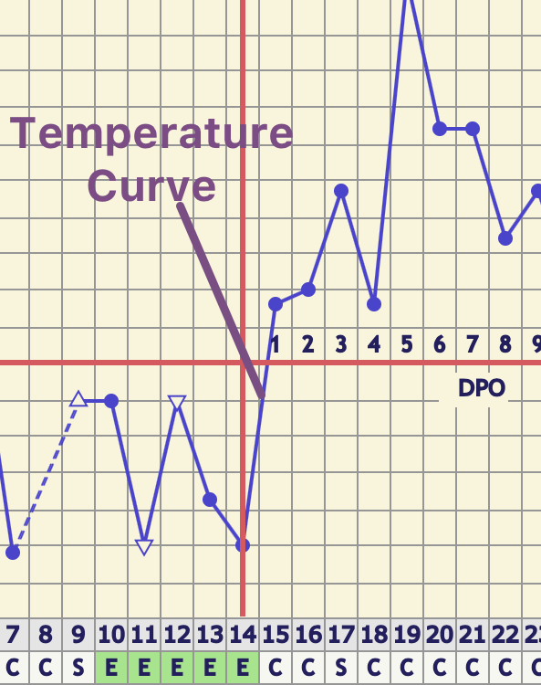 temperature chart