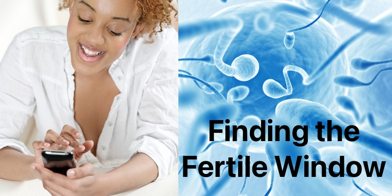 Fertile Window Diagram