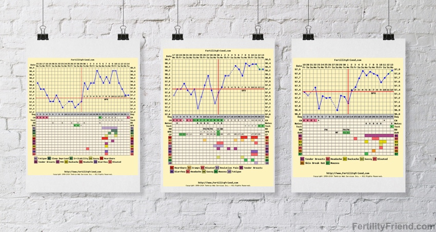 Anovulatory Cycle Chart