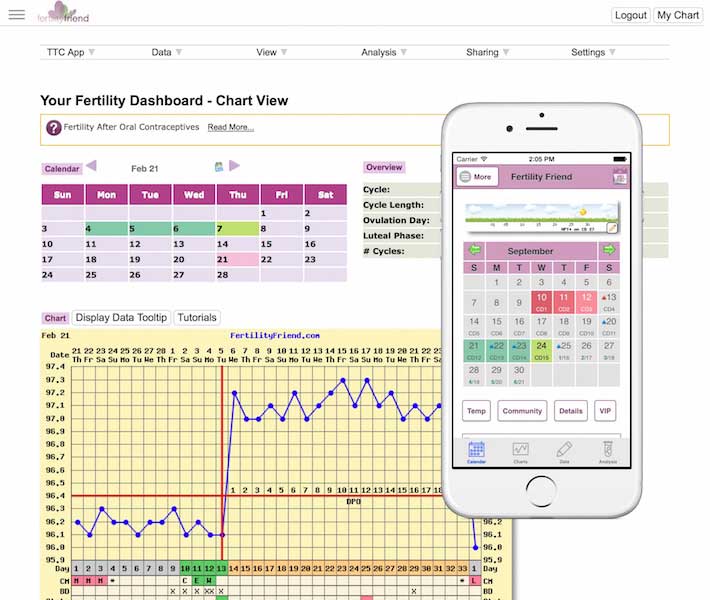 Understanding Fertility Charts