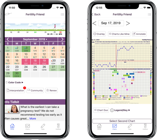 How to Compare Your Fertility Charting to a Typical Ovulation